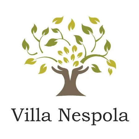 Nespola Penthouse Daire Cavtat